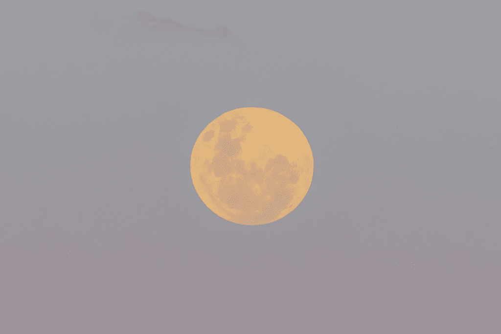 When to Ask: The History and Future of the Strawberry Moon